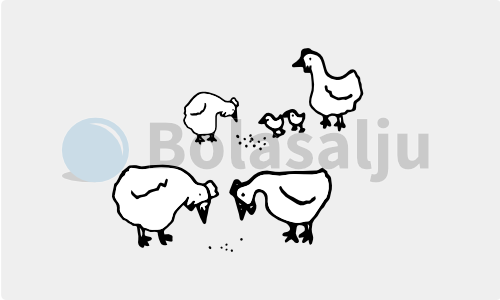 Membaca Tanda Di Sektor Pakan Ternak